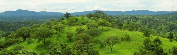 Thuma Forest Reserve