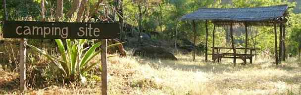 Thuma Forest Reserve