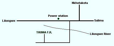 how to get to Thuma