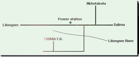 how to get to Thuma