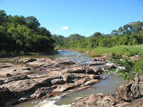 Tumaele