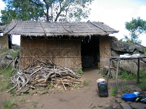 The kitchen