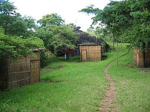 Volunteer Hut