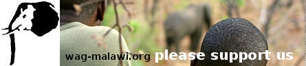 WAG Malawi - Save The African Elephants