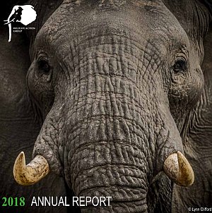WAG Annual Report 2018