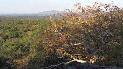 View towards Salima