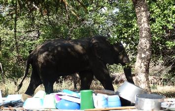 A visitor enters camp